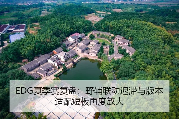 EDG夏季赛复盘：野辅联动迟滞与版本适配短板再度放大