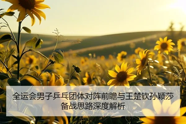 全运会男子乒乓团体对阵前瞻与王楚钦孙颖莎备战思路深度解析